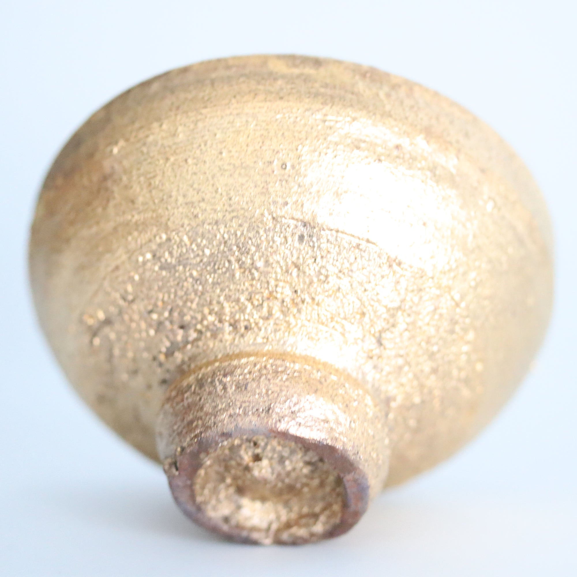 【小岛阳介】金彩仪