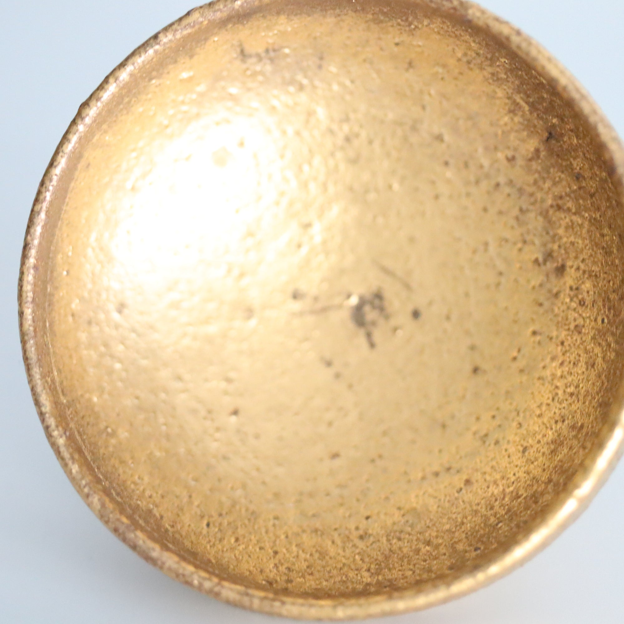 【小岛阳介】金彩仪