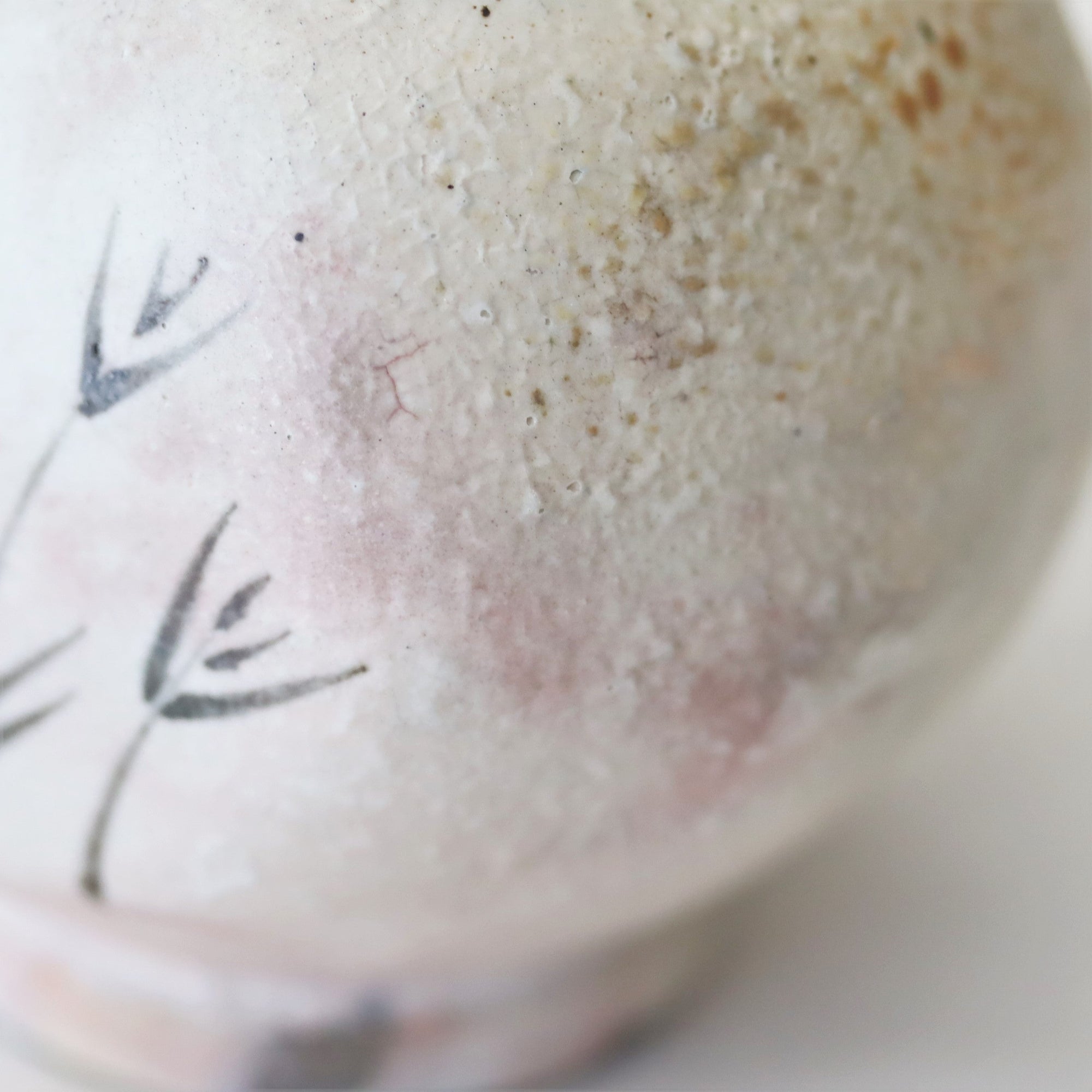 【Sakurei Okamoto】E-Kohiki-Henko sake bottle