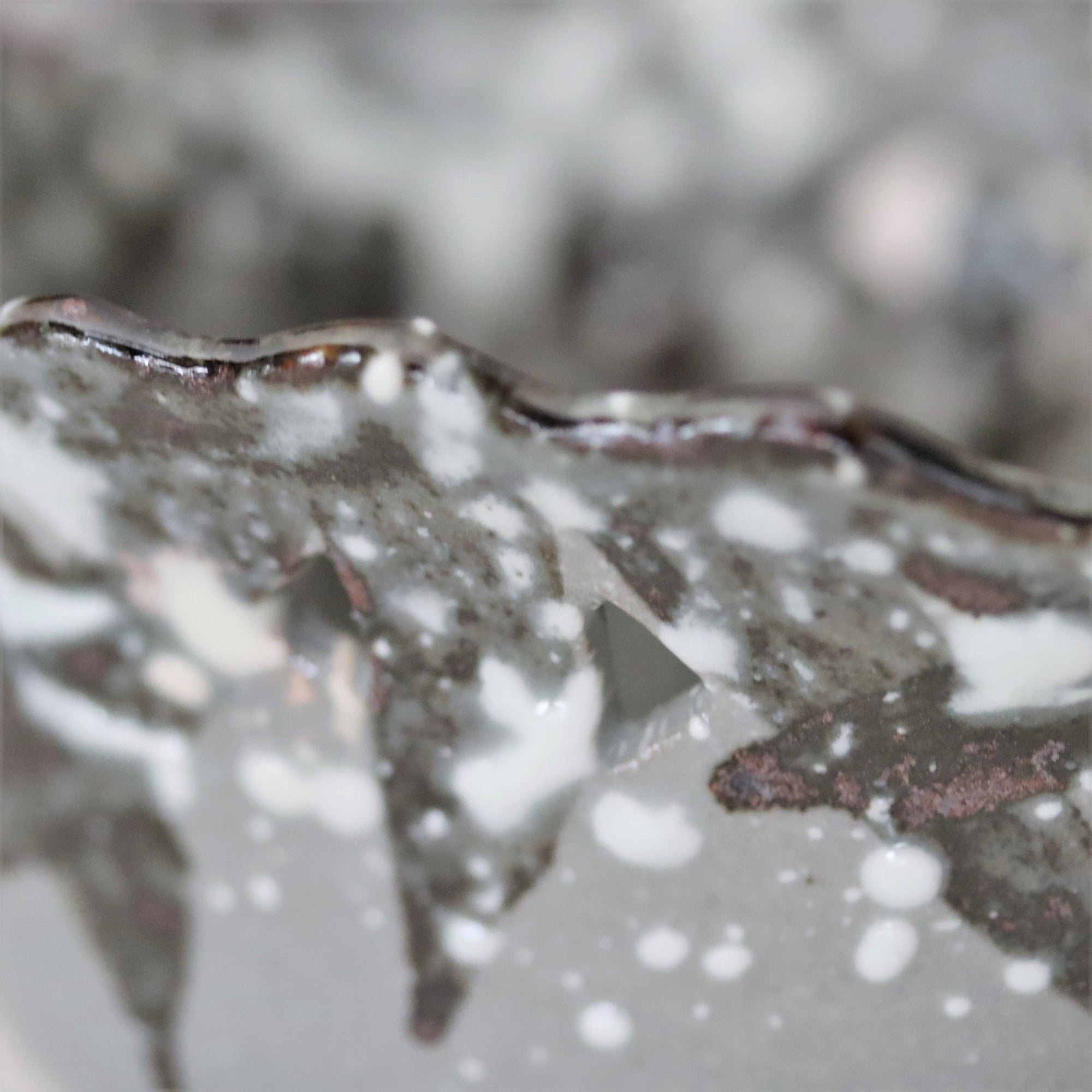 乾山写雪笹角向付
