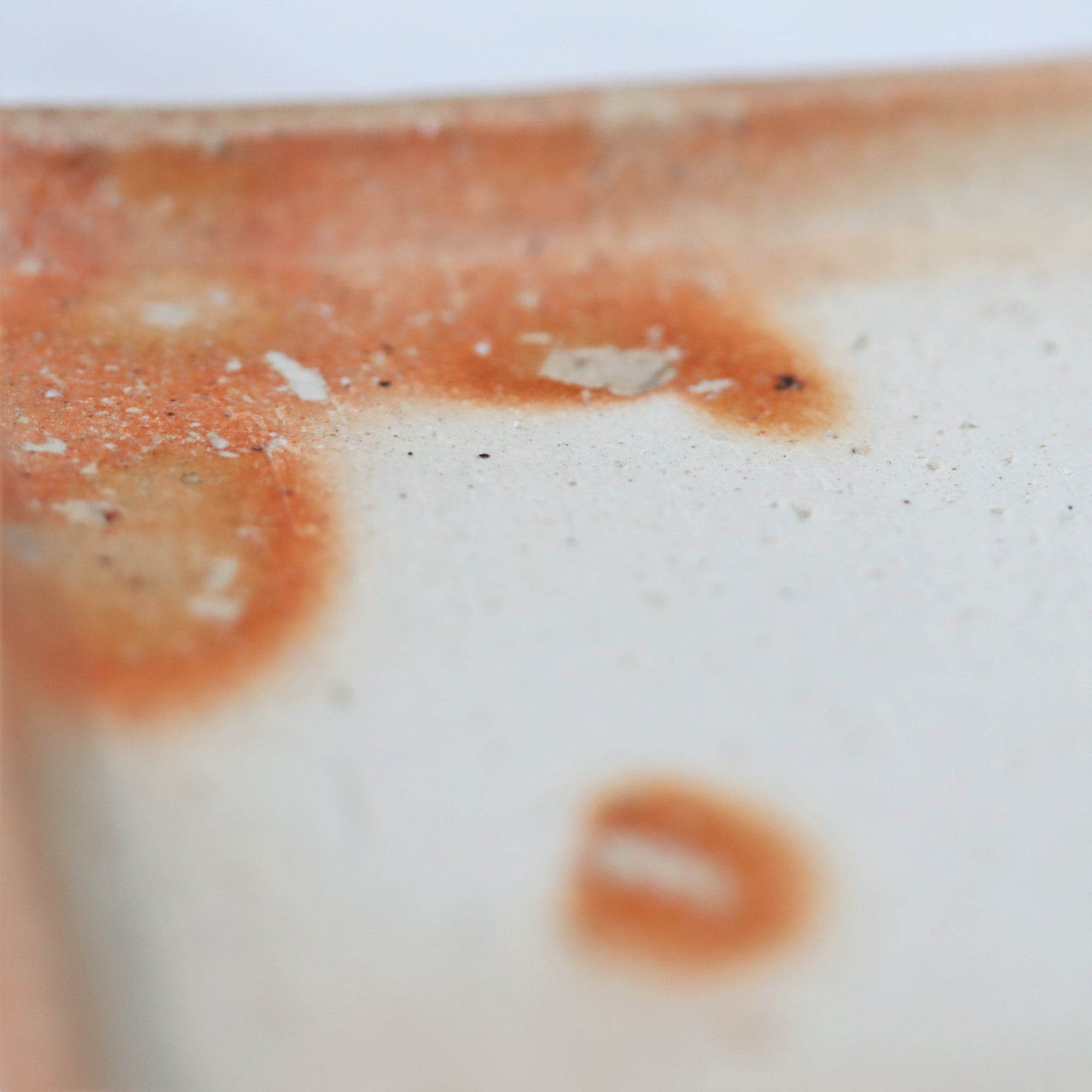 【小岛洋介】烤方盘