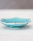 turquoise small hexagonal plate