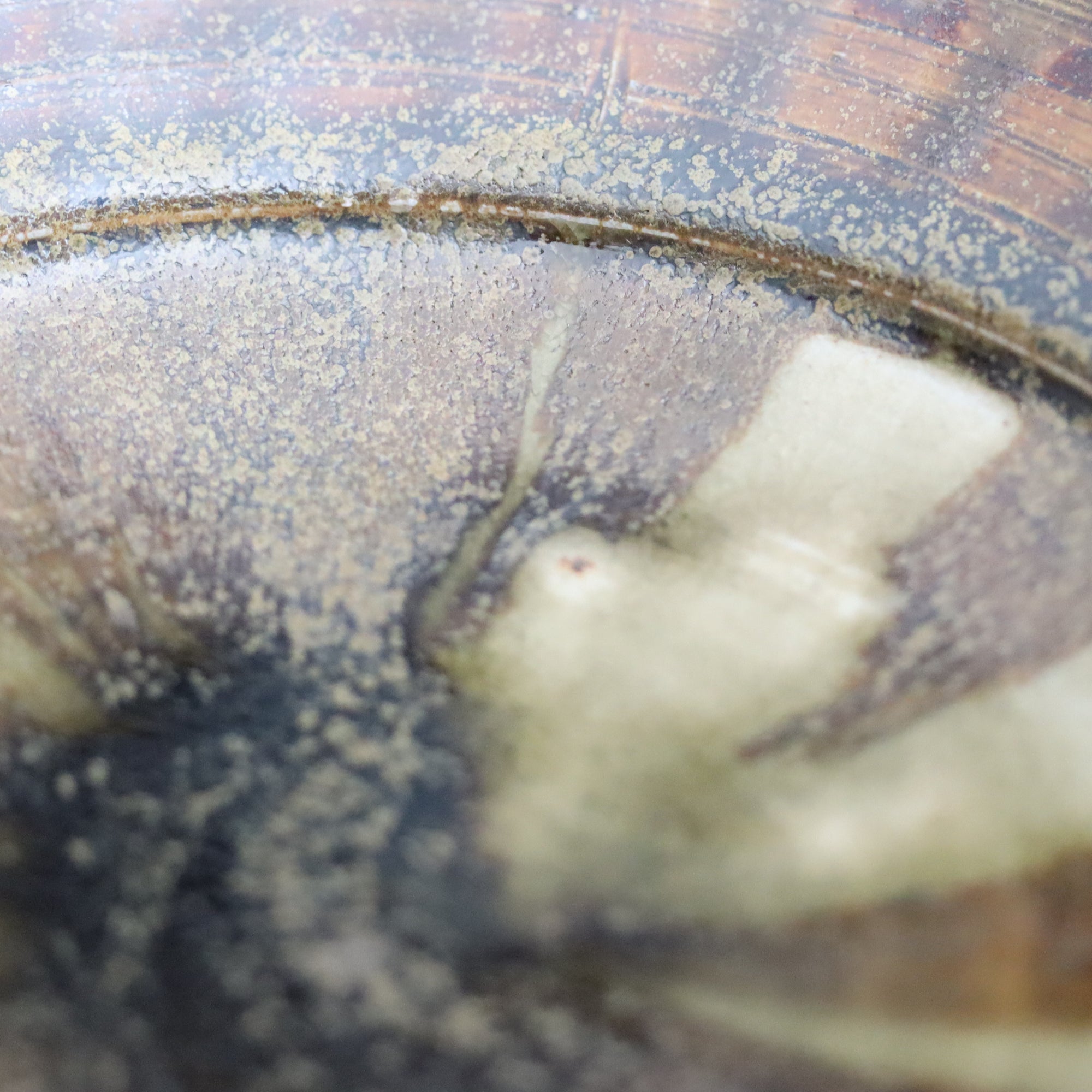【Gason Toogawa】Ao-Karatsu squared plate