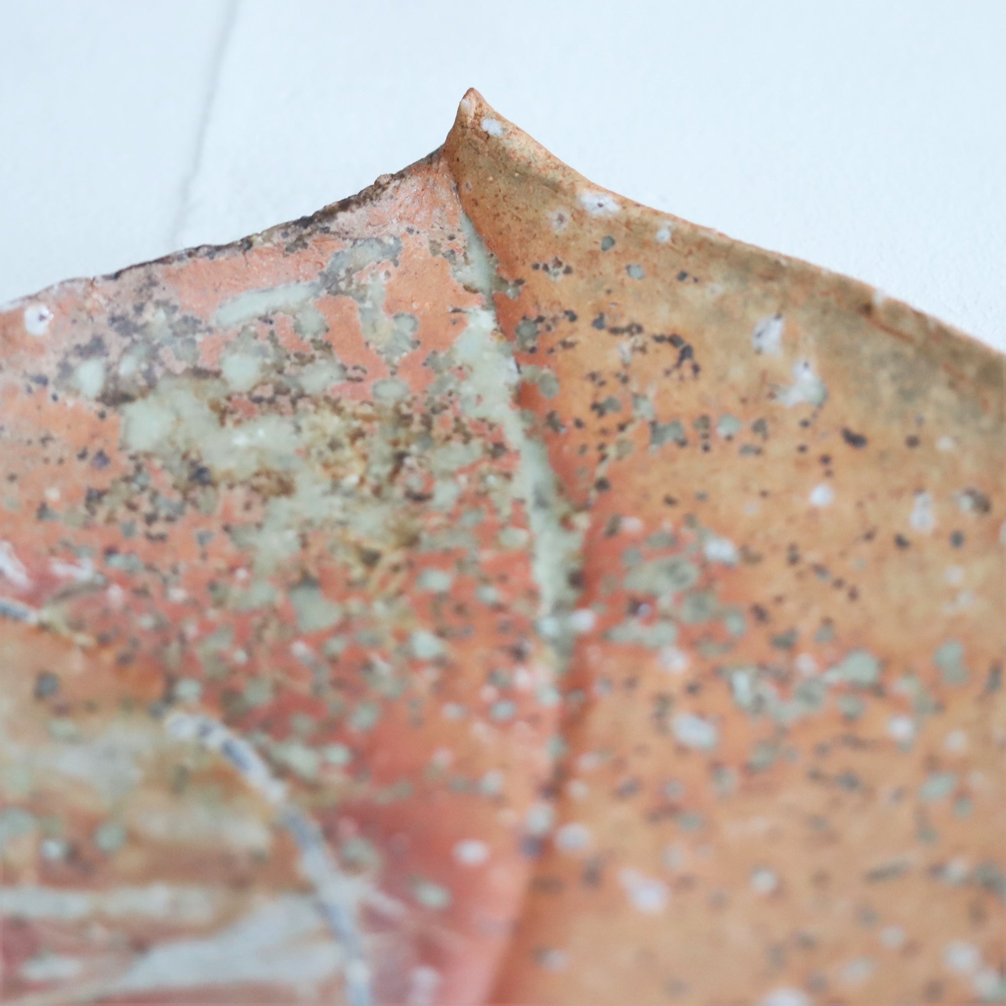 【Kai Tsujimura】Shigaraki peach shaped  plate