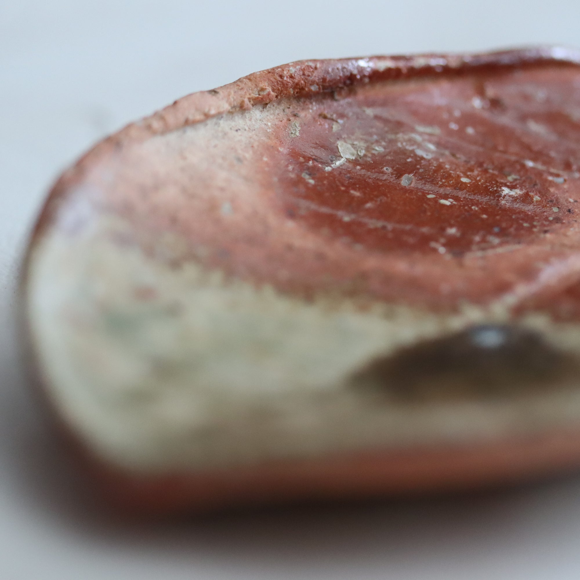 【Kai Tsujimura】Shigaraki Houba leaf shaped plate