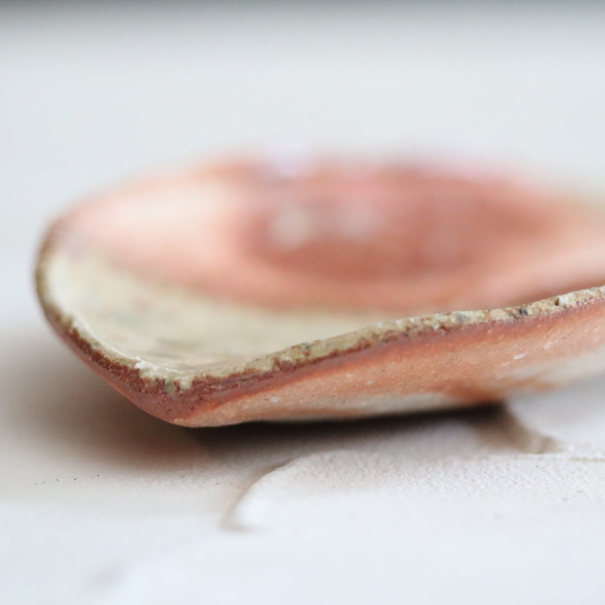 【Kai Tsujimura】Shigaraki Houba leaf shaped plate