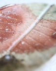 【Kai Tsujimura】Shigaraki Houba leaf shaped plate