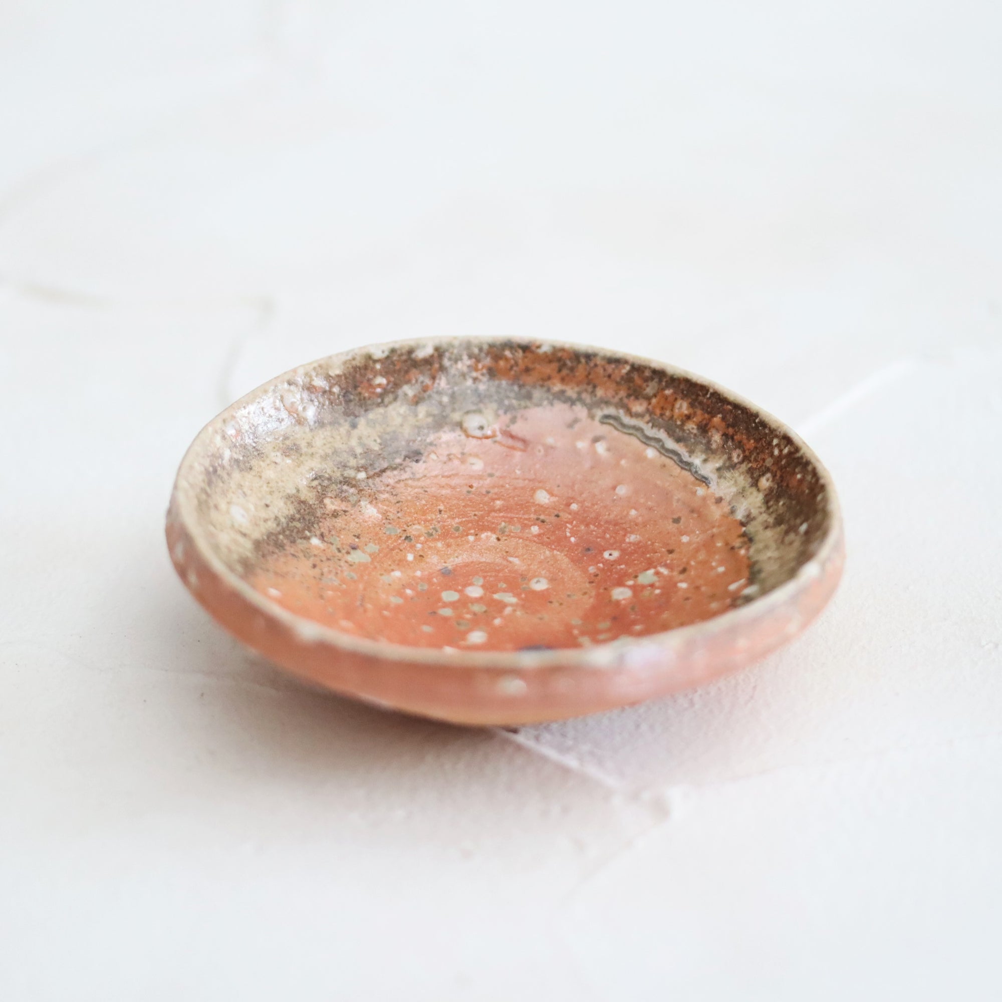 【Kai Tsujimura】Shigaraki mini plate
