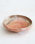 【Kai Tsujimura】Shigaraki mini plate