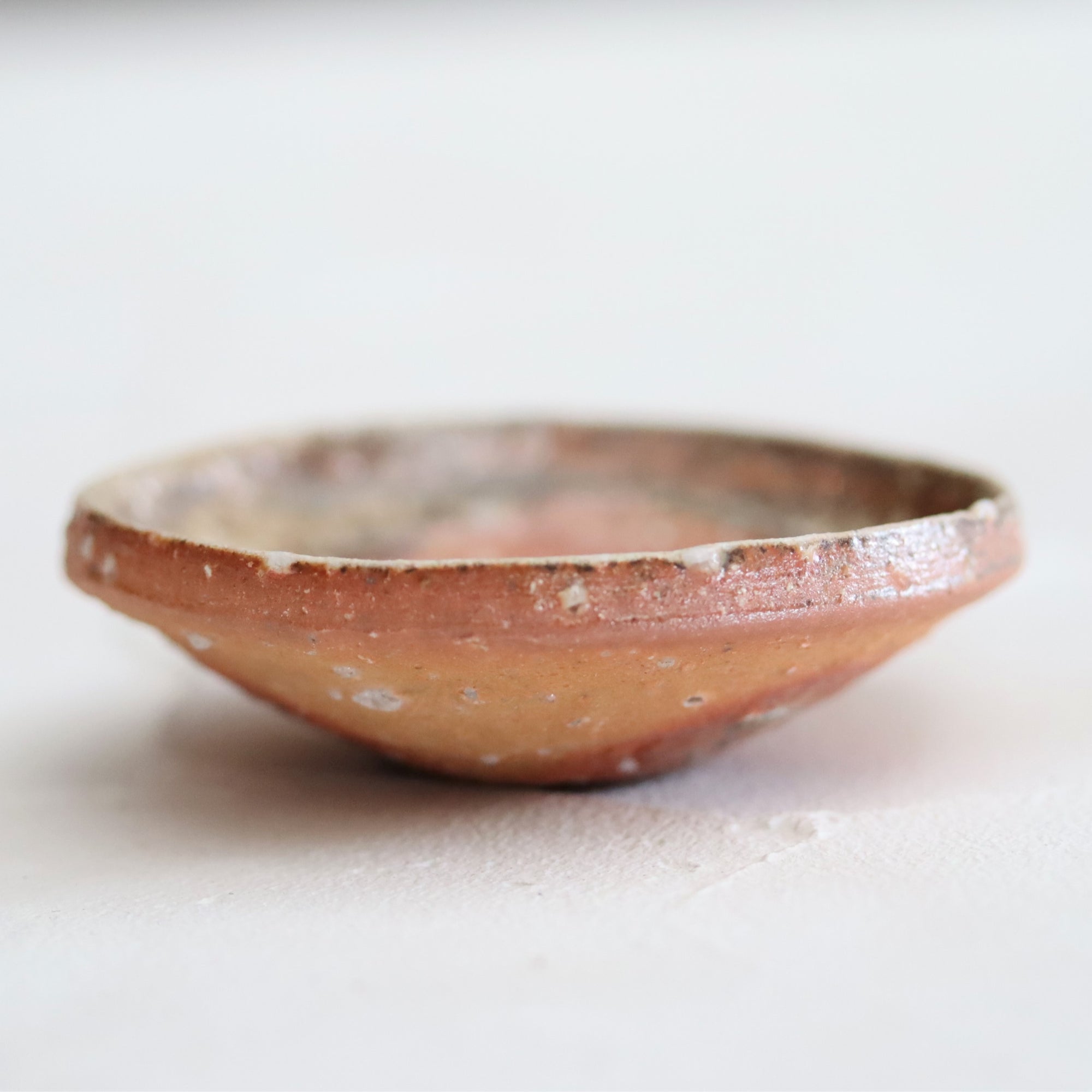 【Kai Tsujimura】Shigaraki mini plate