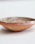 【Kai Tsujimura】Shigaraki mini plate