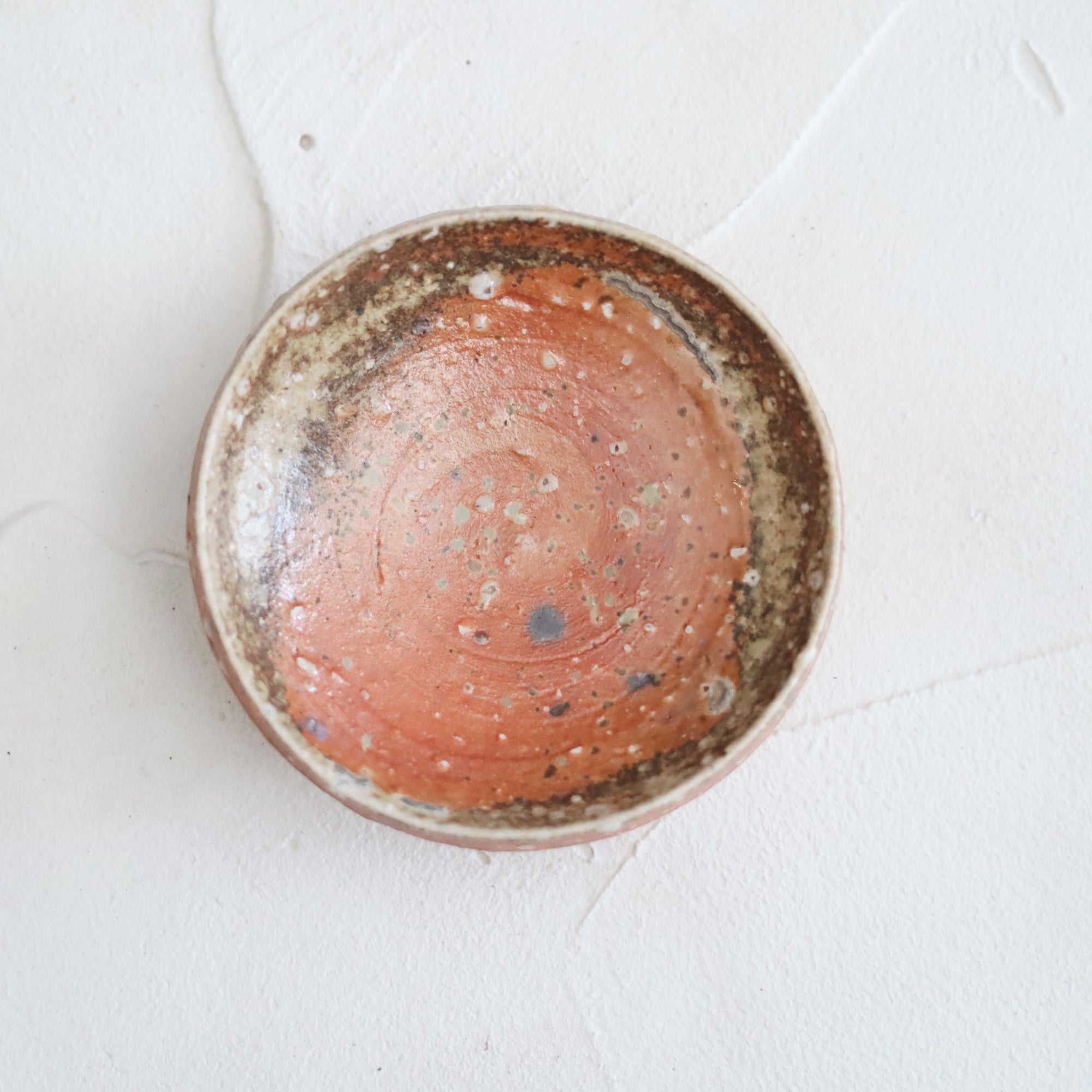 【Kai Tsujimura】Shigaraki mini plate