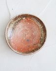 【Kai Tsujimura】Shigaraki mini plate
