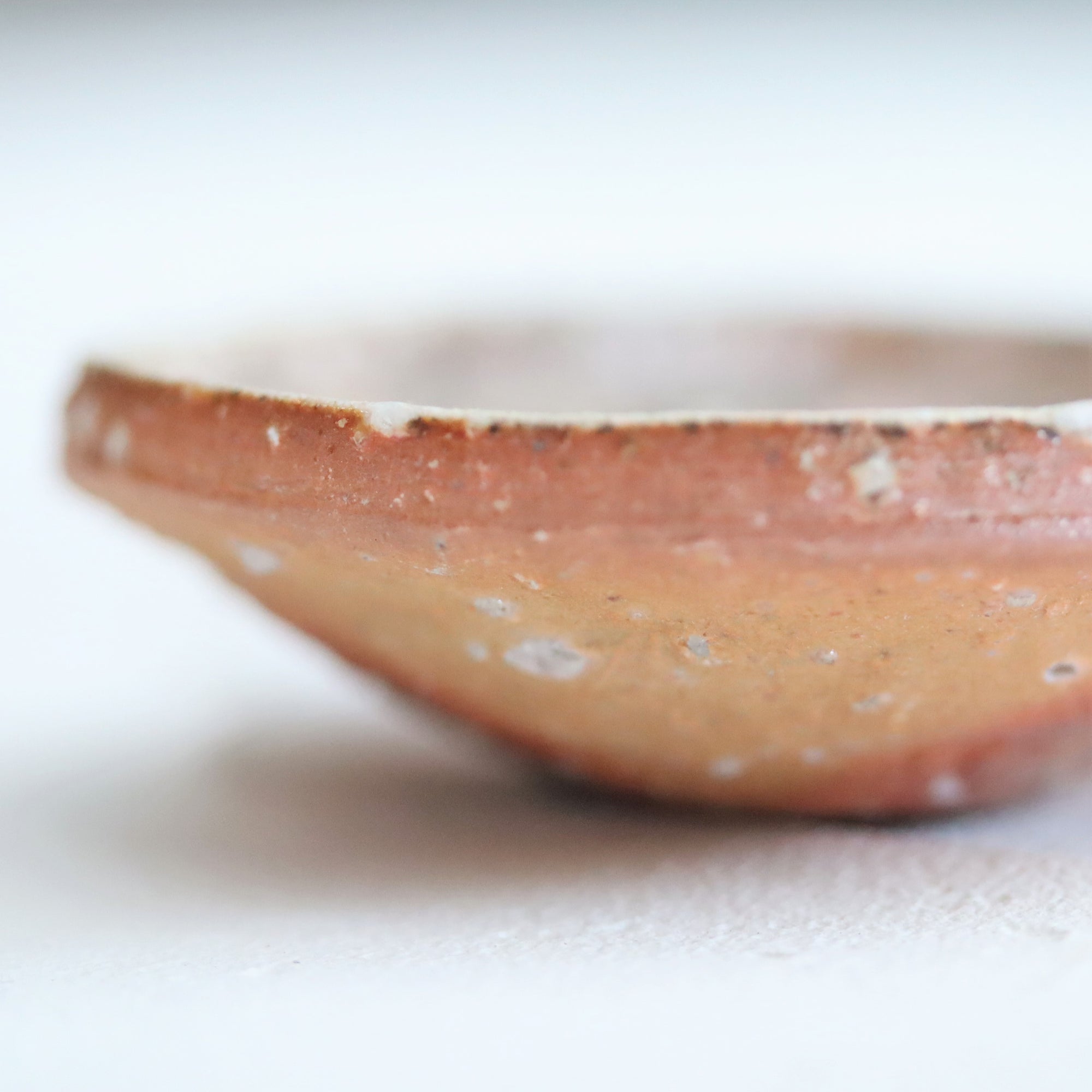 【Kai Tsujimura】Shigaraki mini plate