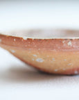【Kai Tsujimura】Shigaraki mini plate