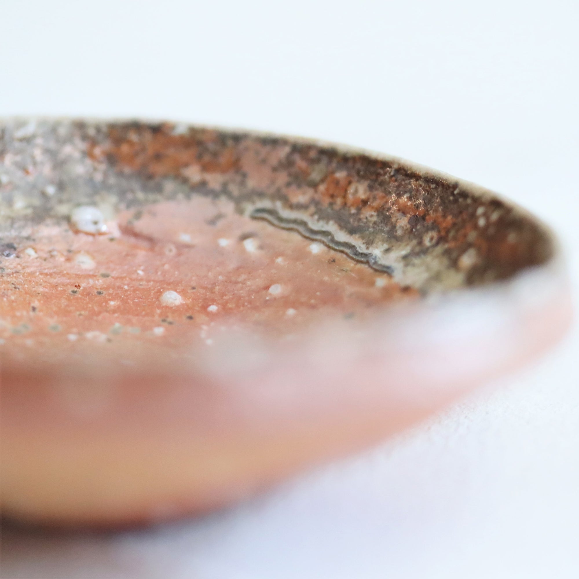 【Kai Tsujimura】Shigaraki mini plate