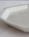 【Tsutomu Takeshita】white celadon porcelain octagonal plate 7sun