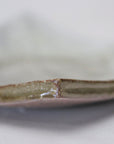 【铃木智寻】玻璃釉角盘