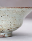 Ash glaze pot