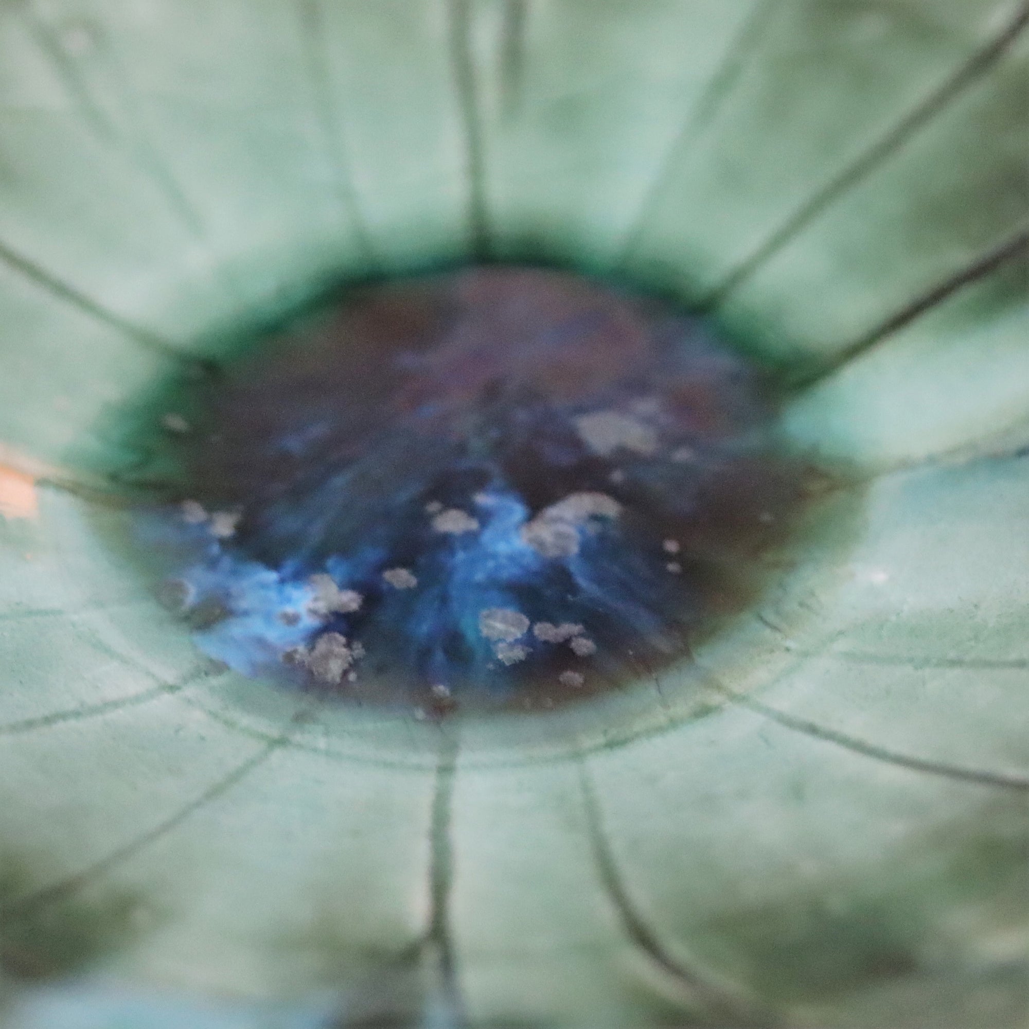 【Masato Yamaguchi】Oribe Lotus Bowl