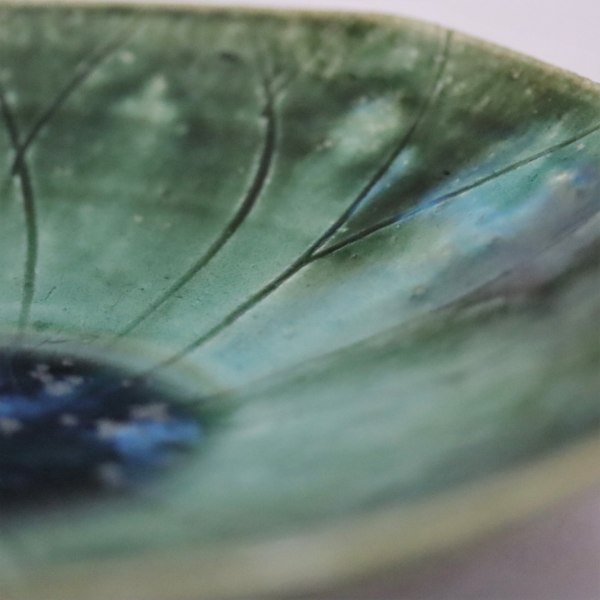 【Masato Yamaguchi】Oribe Lotus Bowl