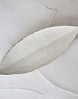 【Kai Tsujimura】Kohiki leaf shaped plate