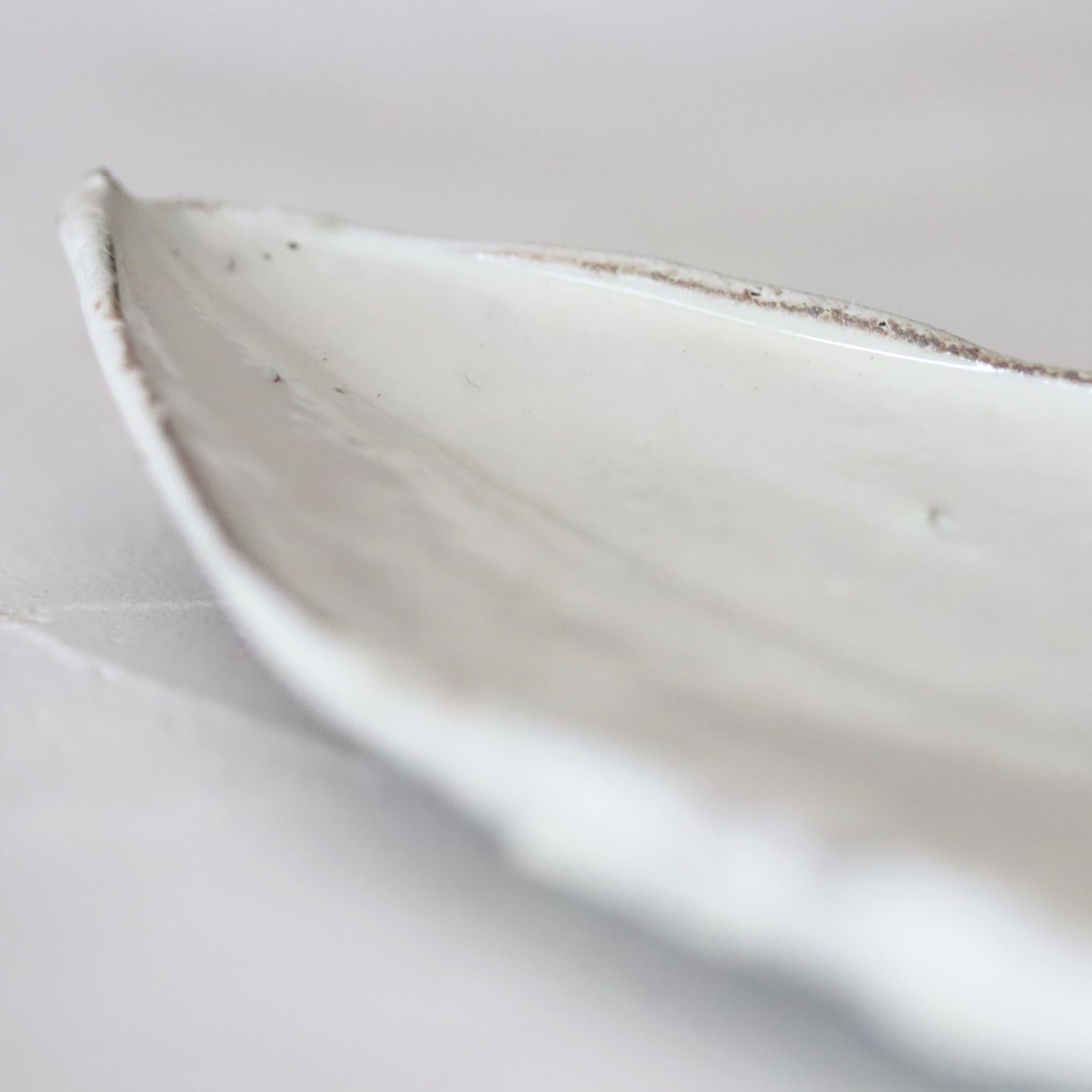 【Kai Tsujimura】Kohiki leaf shaped plate