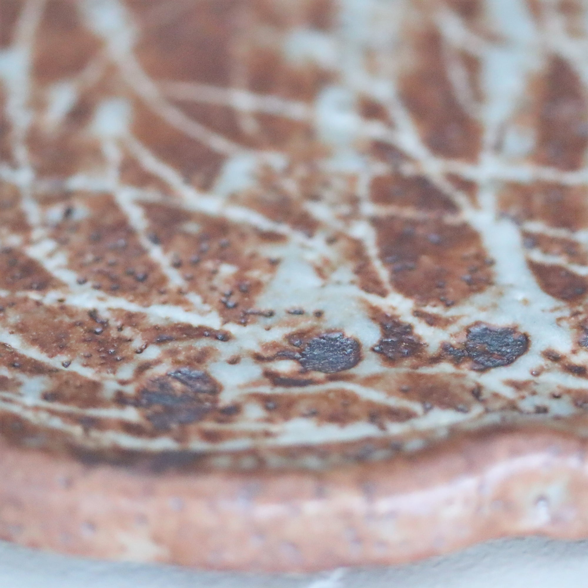 【山口真人】鼠志野丸皿