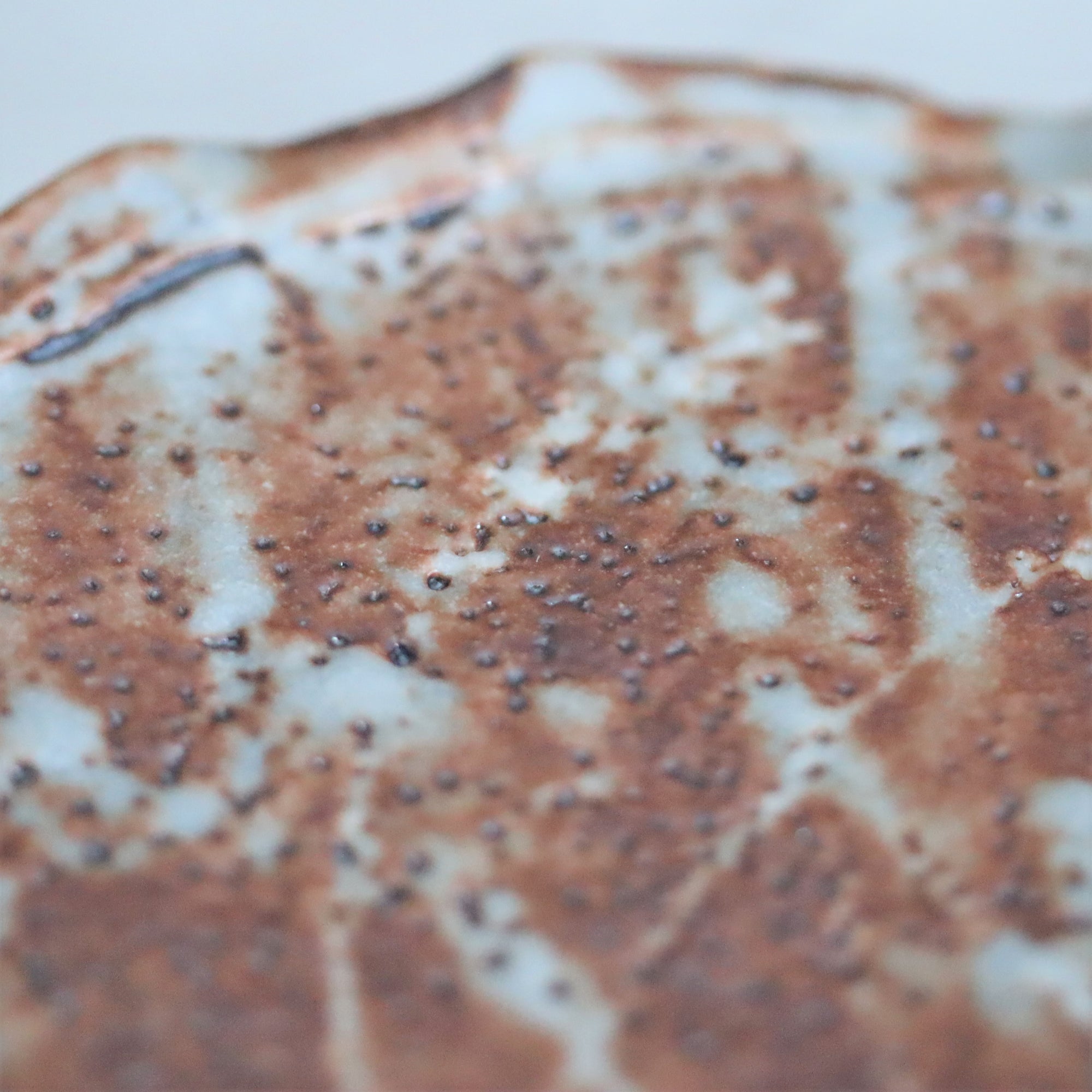 【山口真人】鼠志野丸皿