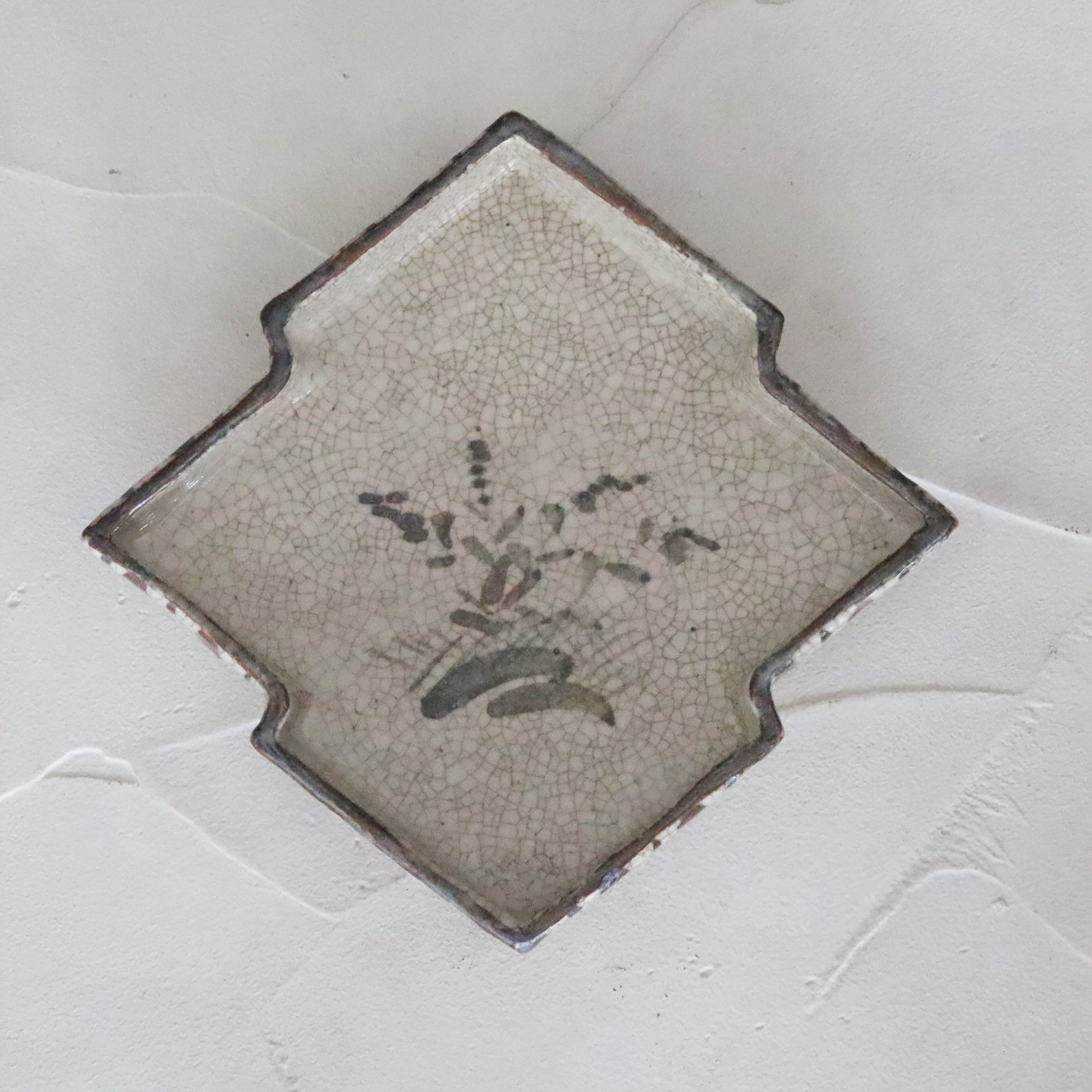 菱形板刺松树皮