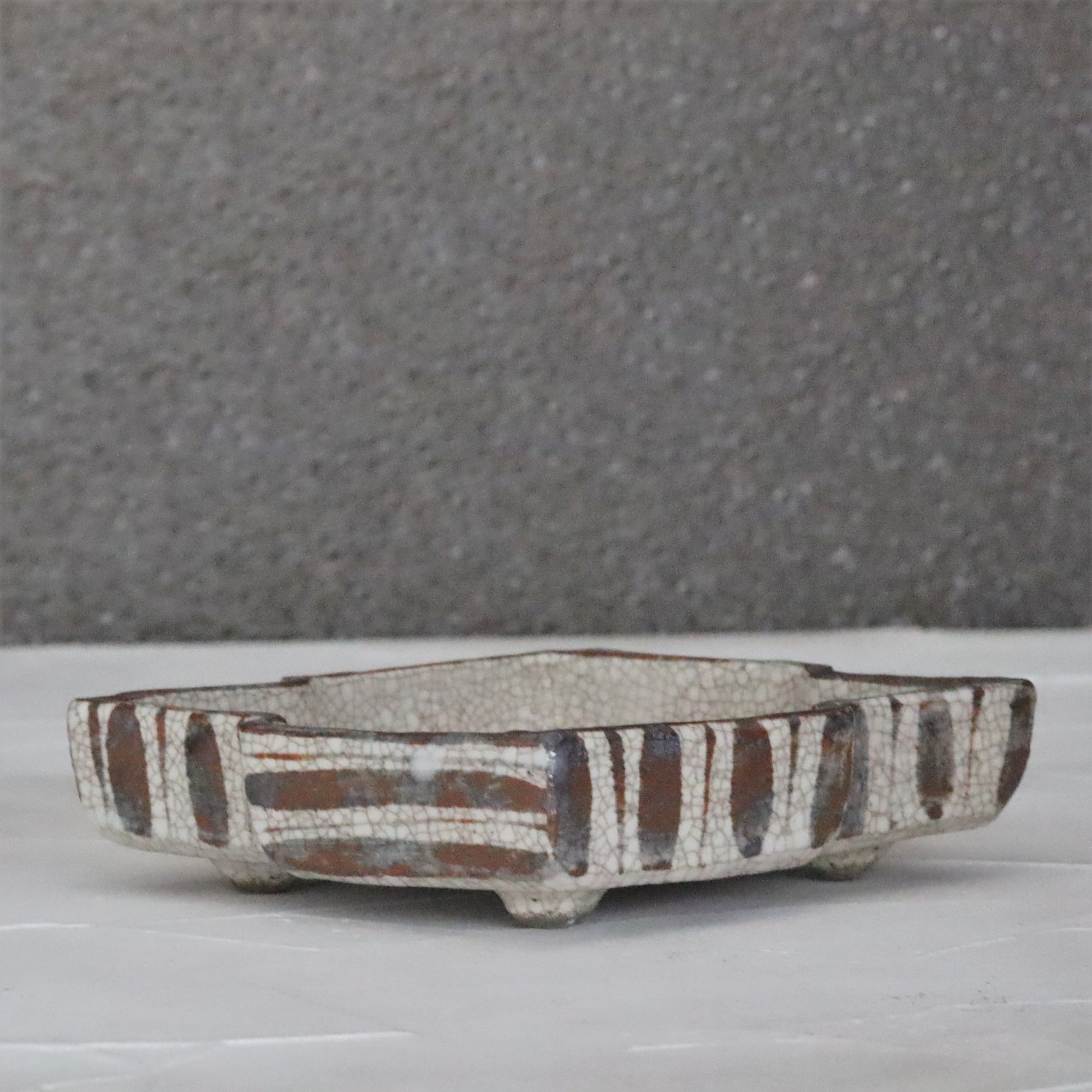 菱形板刺松树皮