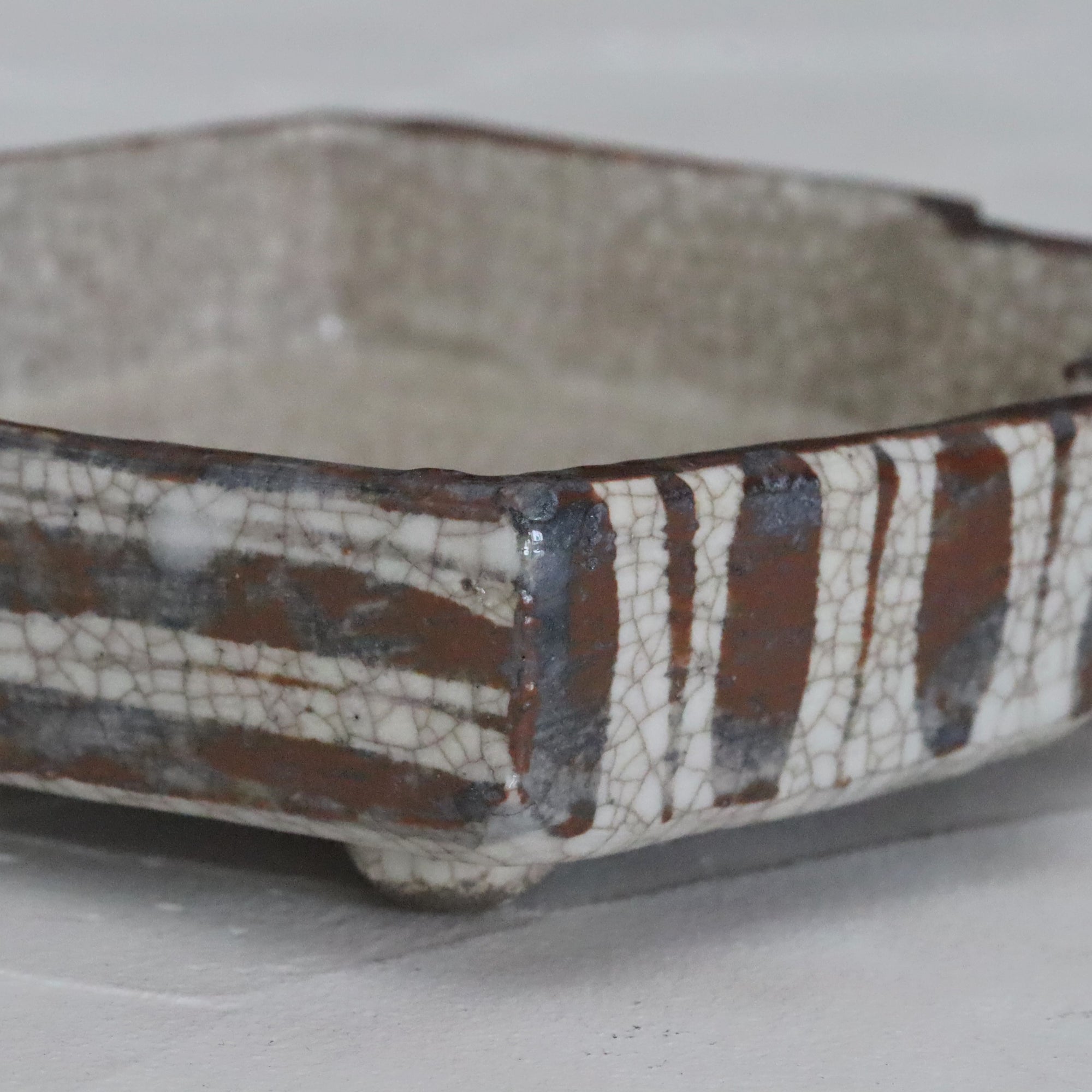 菱形板刺松树皮