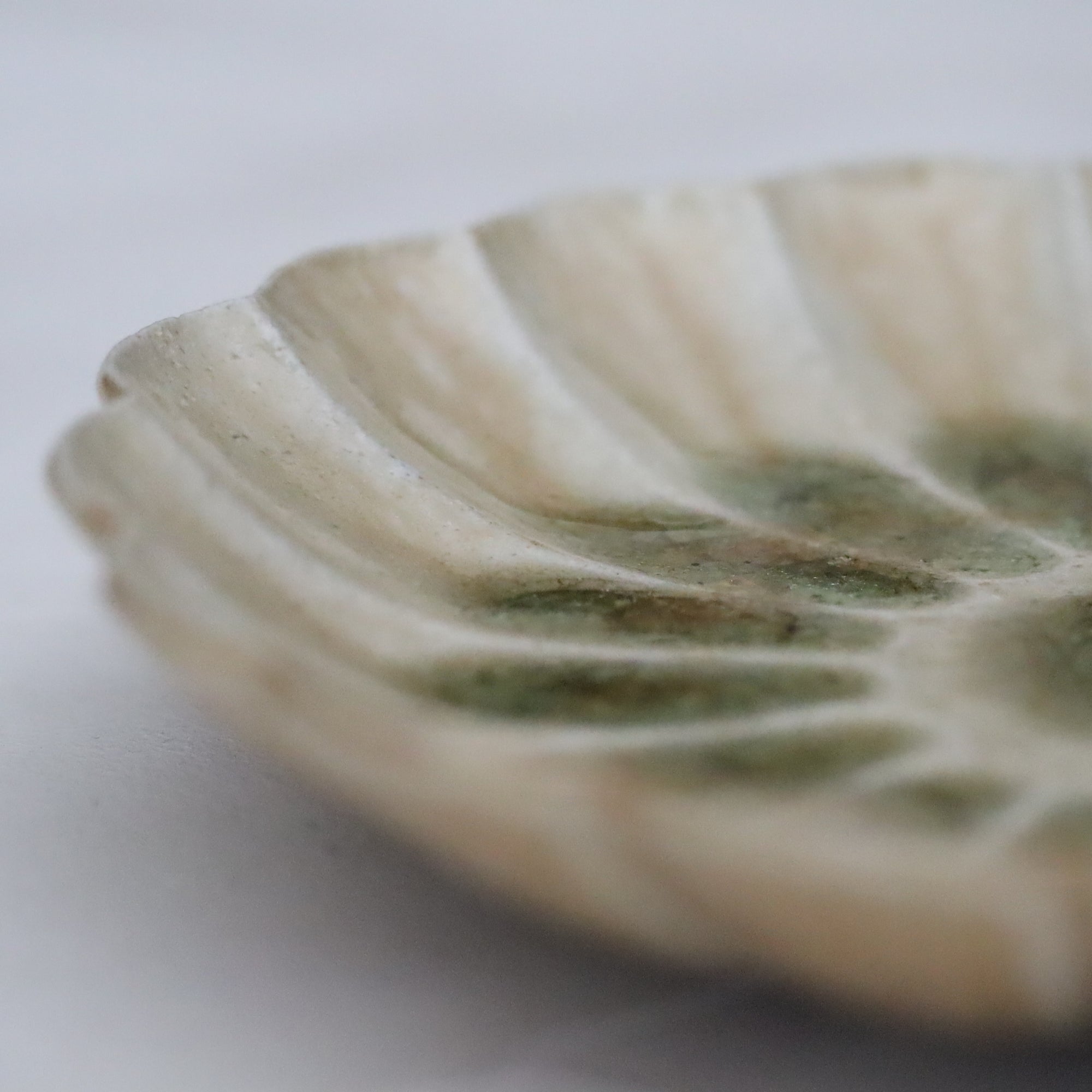 【雪ノ浦裕一】琥珀釉菊花皿