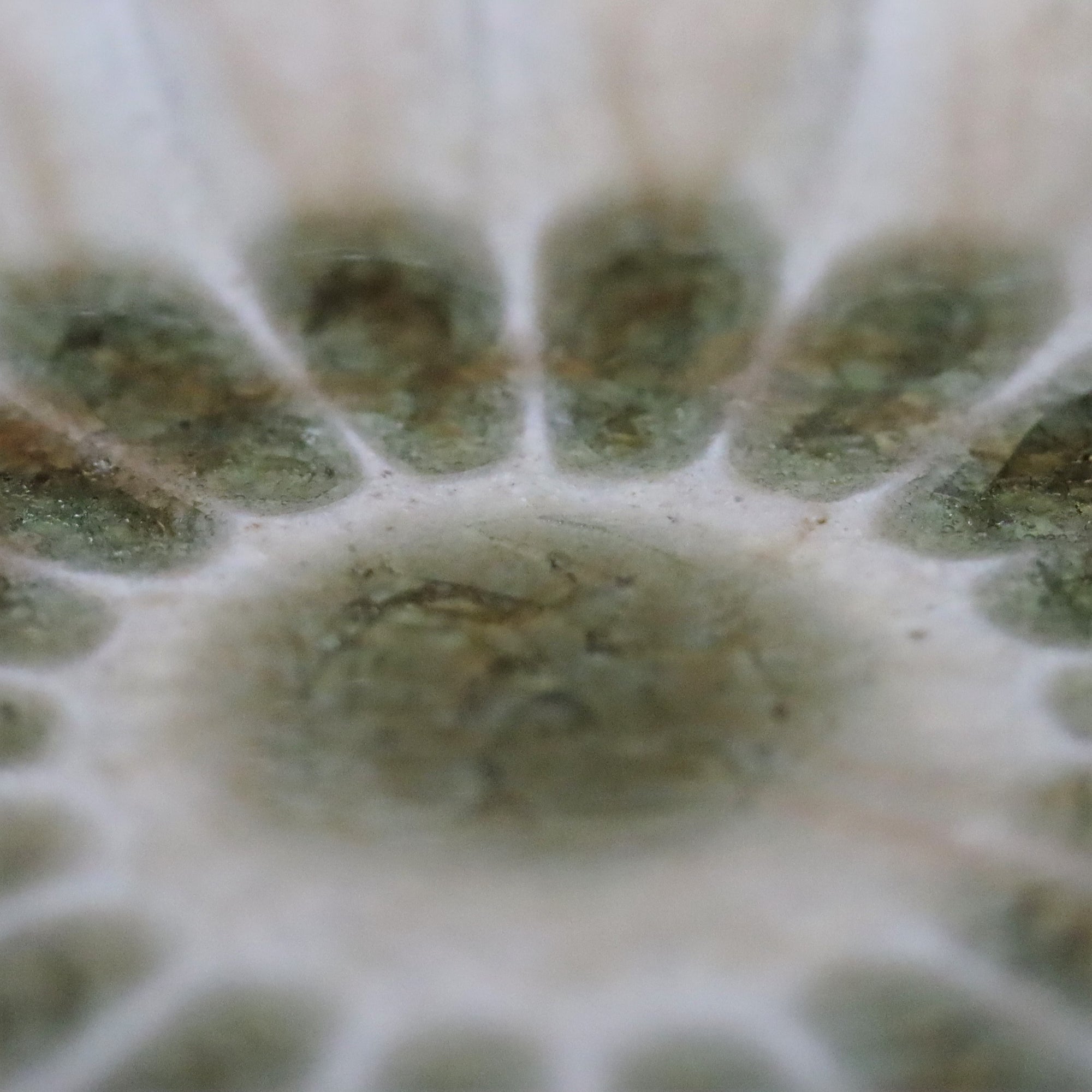 【雪ノ浦裕一】琥珀釉菊花皿