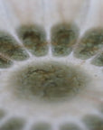 【雪ノ浦裕一】琥珀釉菊花皿