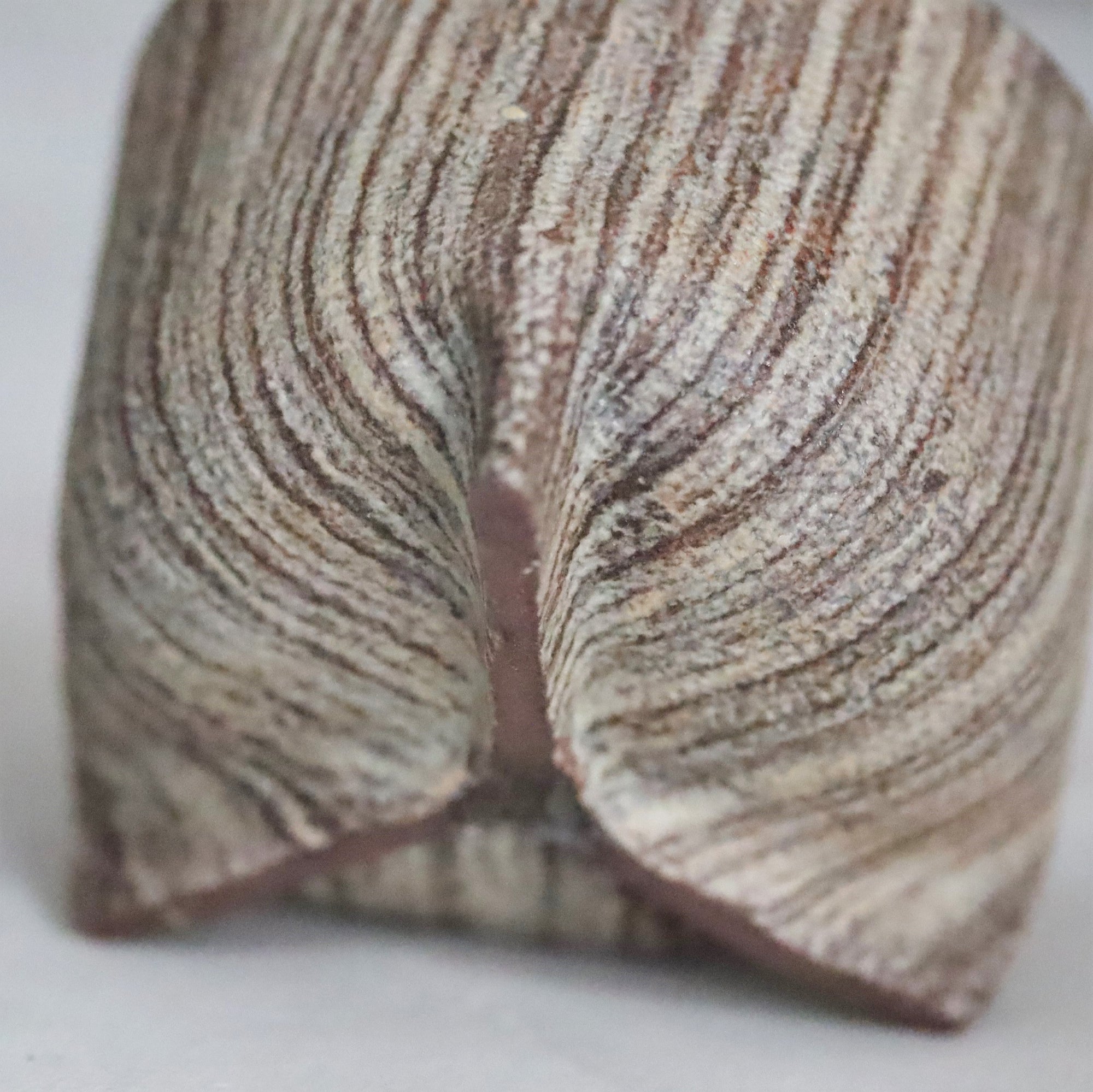 【Taeko Kajihara】small squared bowl