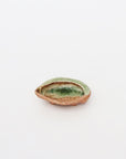 abalone bean bowl
