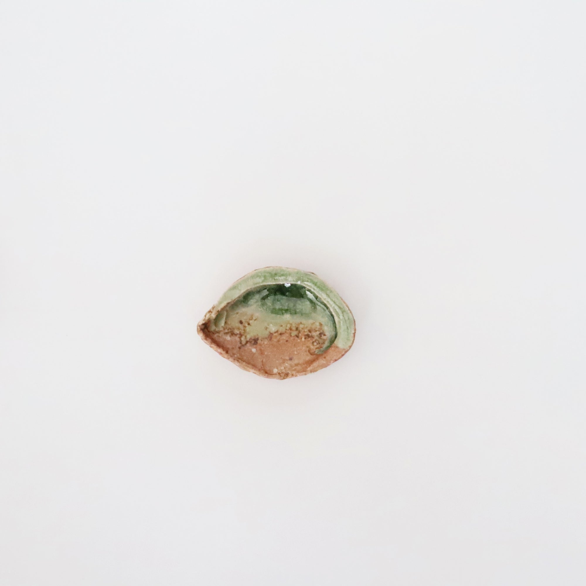 abalone bean bowl