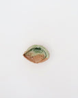 abalone bean bowl