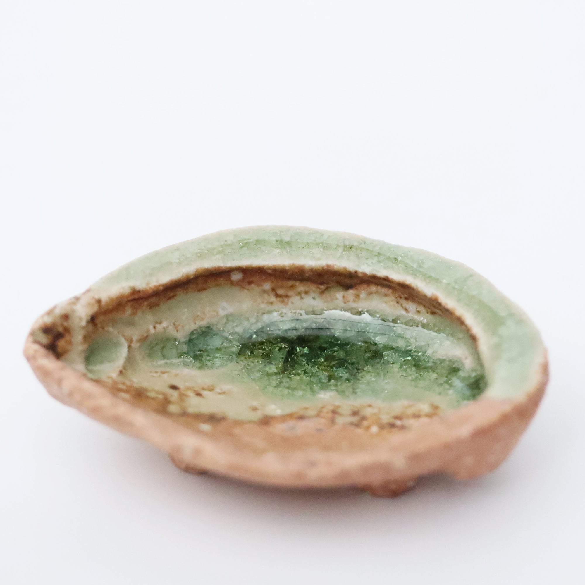 abalone bean bowl