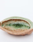 abalone bean bowl