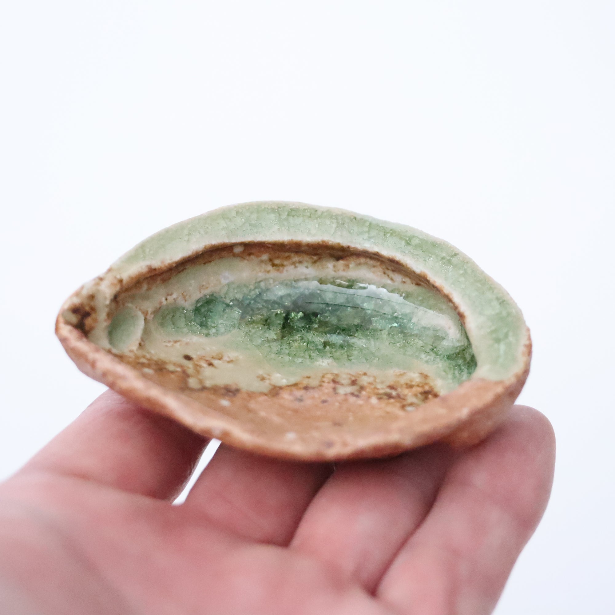 abalone bean bowl