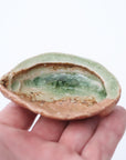 abalone bean bowl