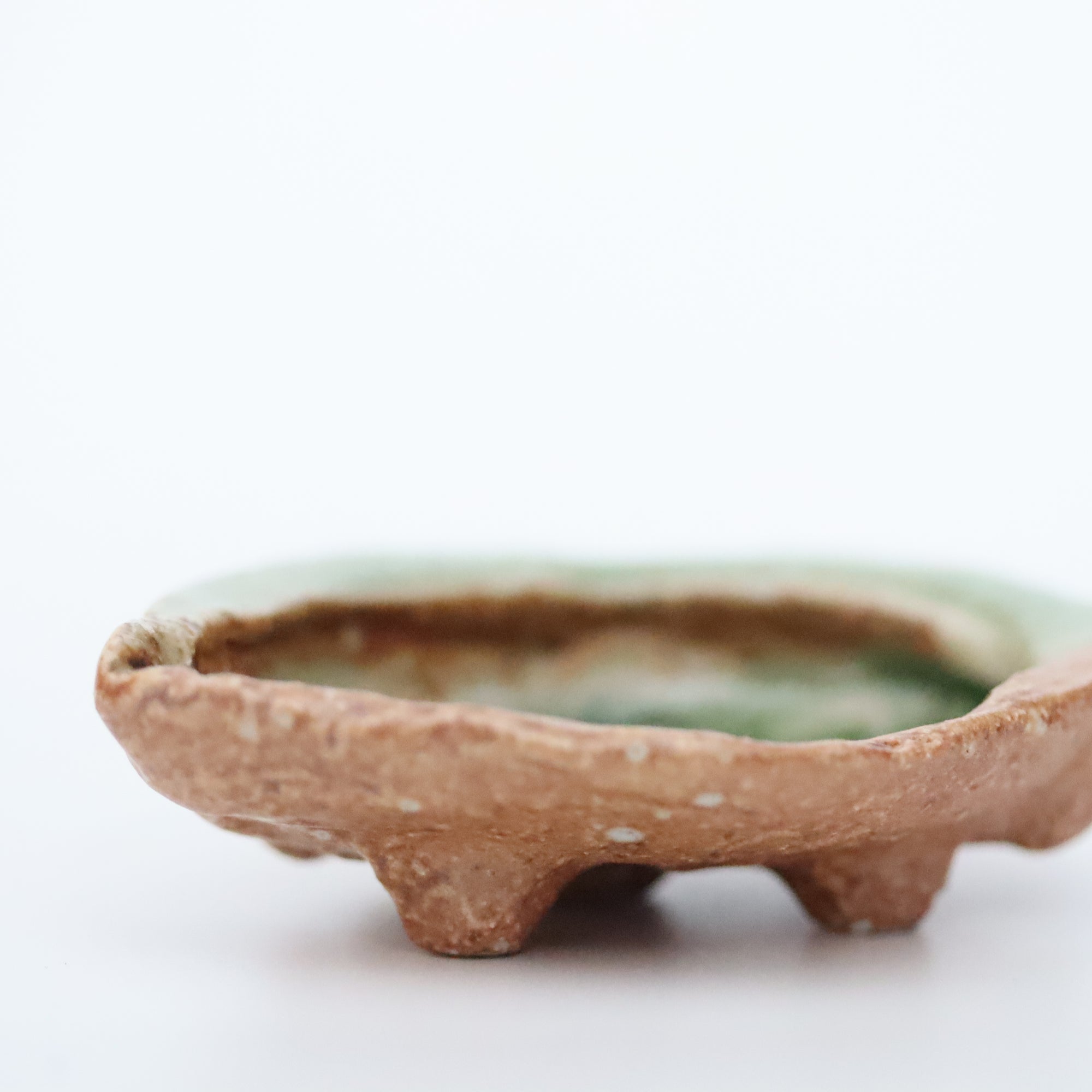 abalone bean bowl