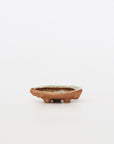 abalone bean bowl