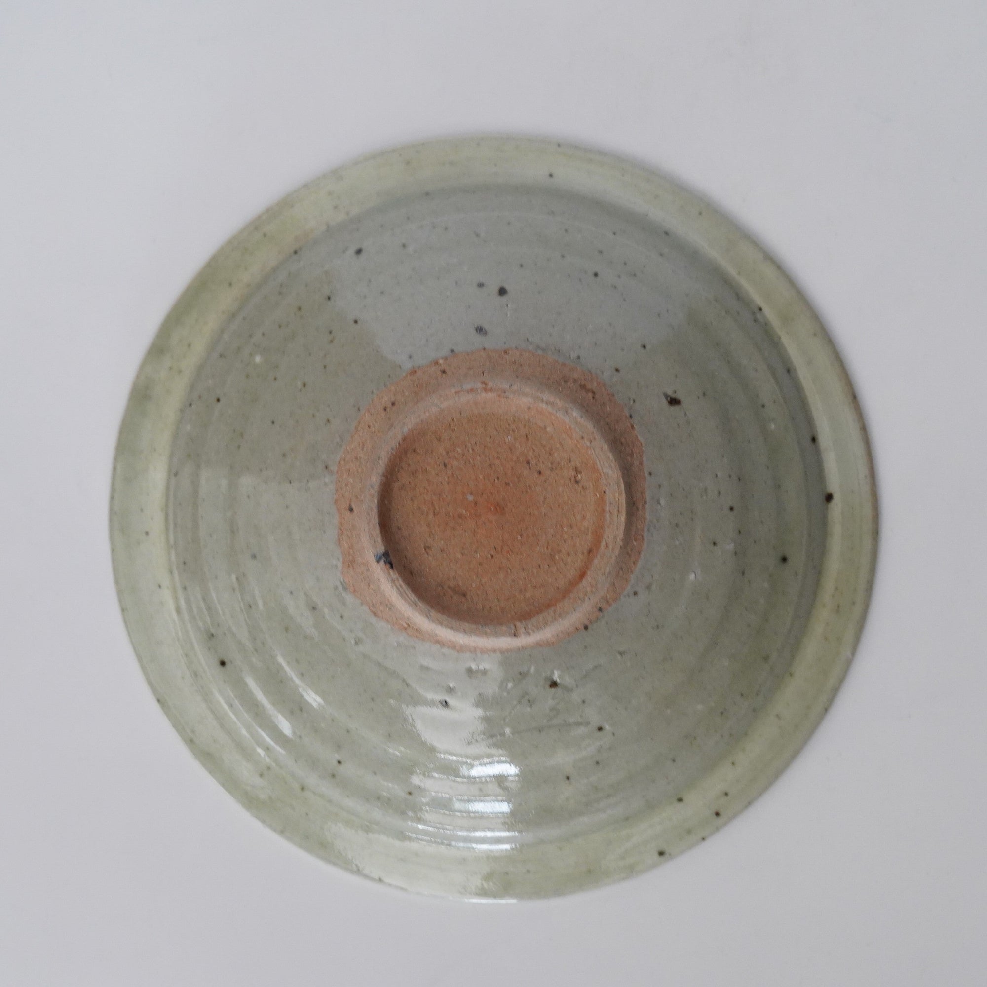 【岡本修一】二彩唐津花文皿