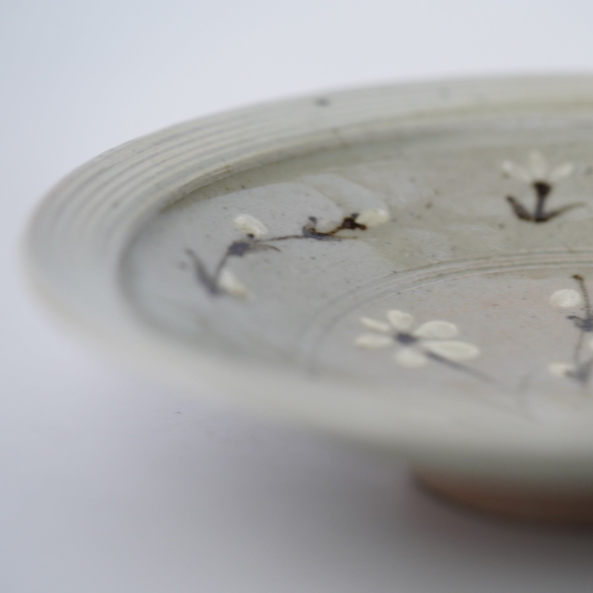 【岡本修一】二彩唐津花文皿