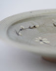 【Shuichi Okamoto】Korean-Garatsu paisley design pottery plate