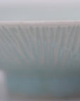 【Shuichi Okamoto】Korean-Garatsu paisley design pottery plate