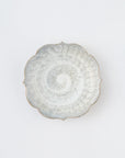 【Shuichi Okamoto】Mishima-Garatsu squared small plate